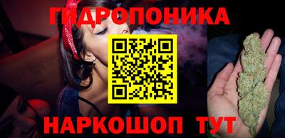 молекула духа Гусев