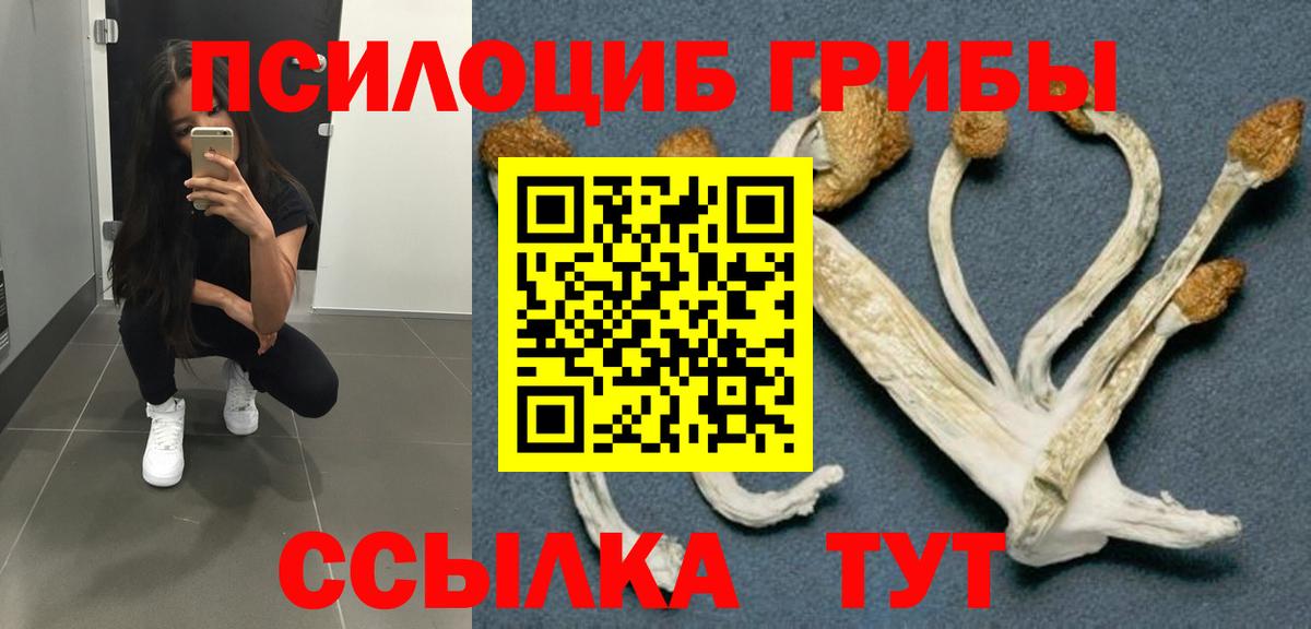 как найти наркотики  Вход с VPN  Мыски  Галлюциногенные грибы GOLDEN TEACHER  Галлюциногенные грибы GOLDEN TEACHER 